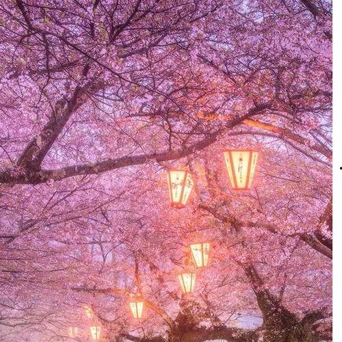 718娱乐吃瓜在线下载,揭秘热门娱乐资讯新途径